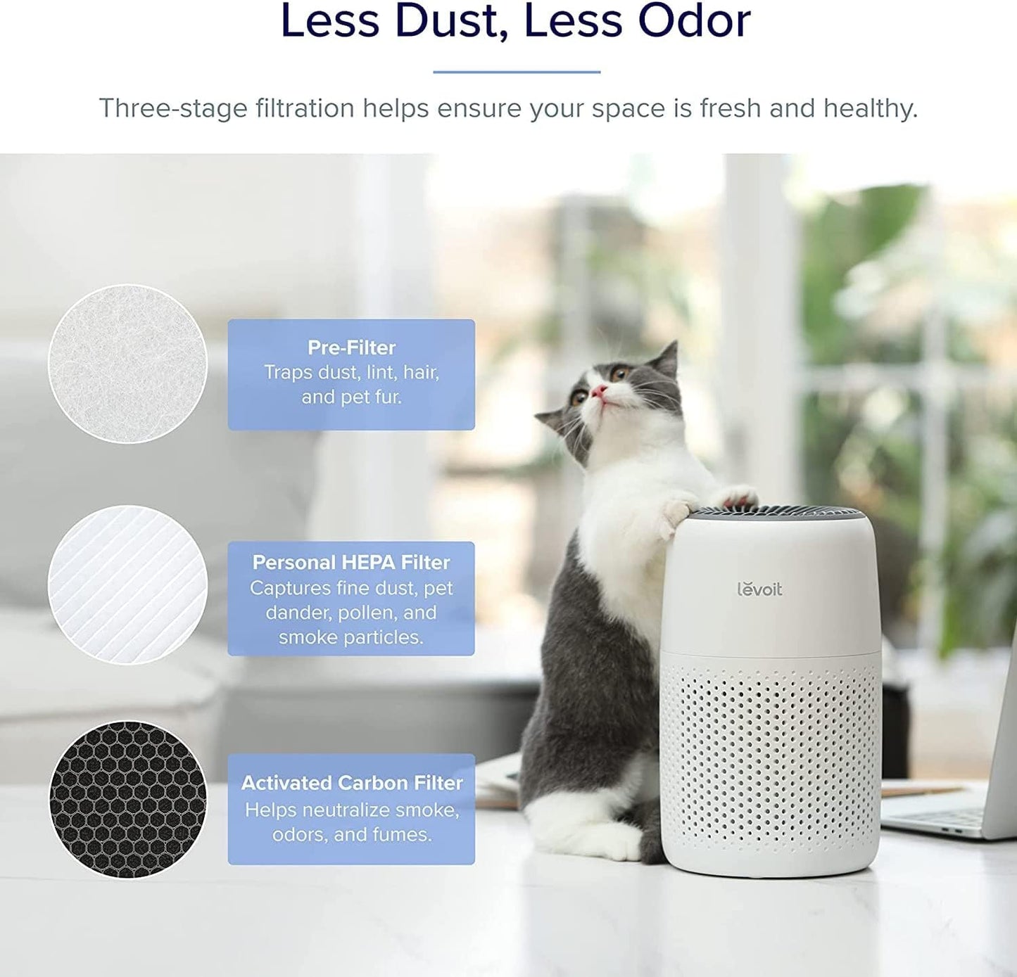 LEVOIT Air Purifier for Bedroom Home, Quiet HEPA Filter Cleaner with Fragrance Sponge & 3 Speed for Better Sleep, Air Frenshener, Allergies, Dust, Pet Dander, Odour, Smoke, Office, Desktop, Core Mini