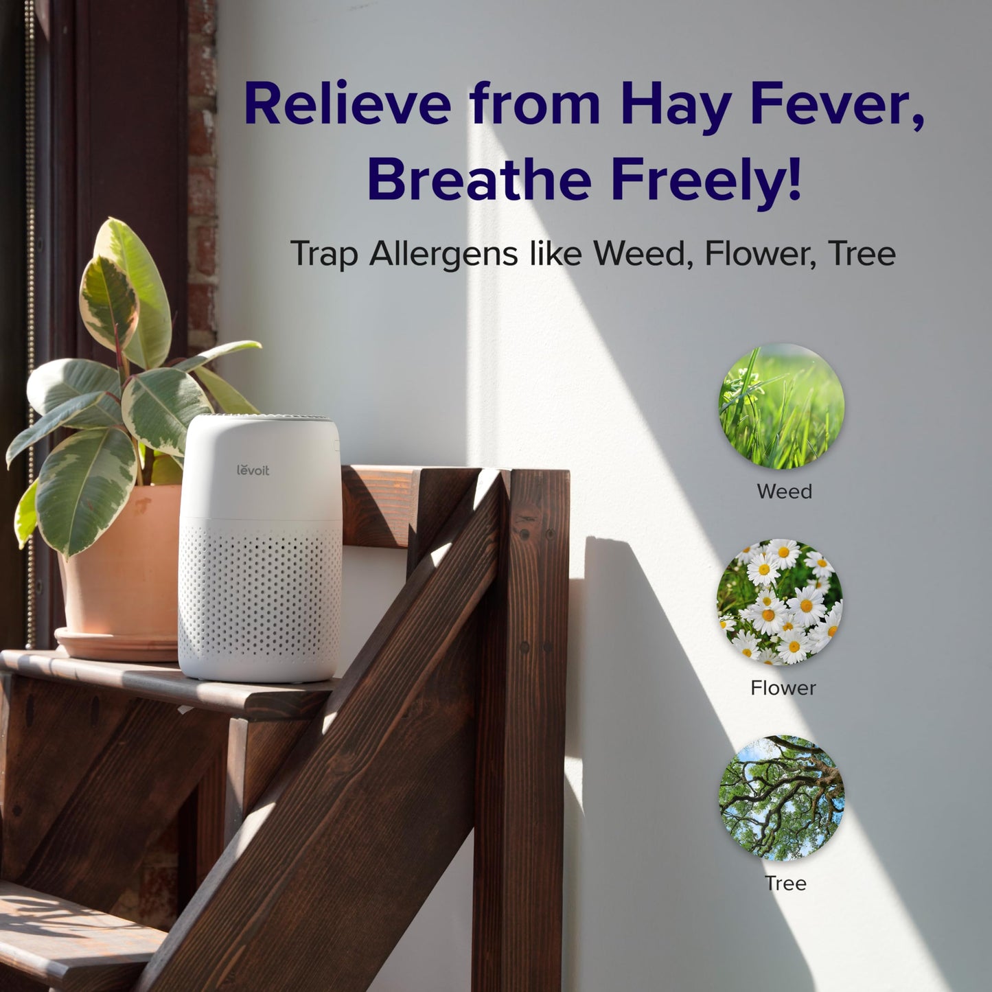 LEVOIT Air Purifier for Bedroom Home, Quiet HEPA Filter Cleaner with Fragrance Sponge & 3 Speed for Better Sleep, Air Frenshener, Allergies, Dust, Pet Dander, Odour, Smoke, Office, Desktop, Core Mini