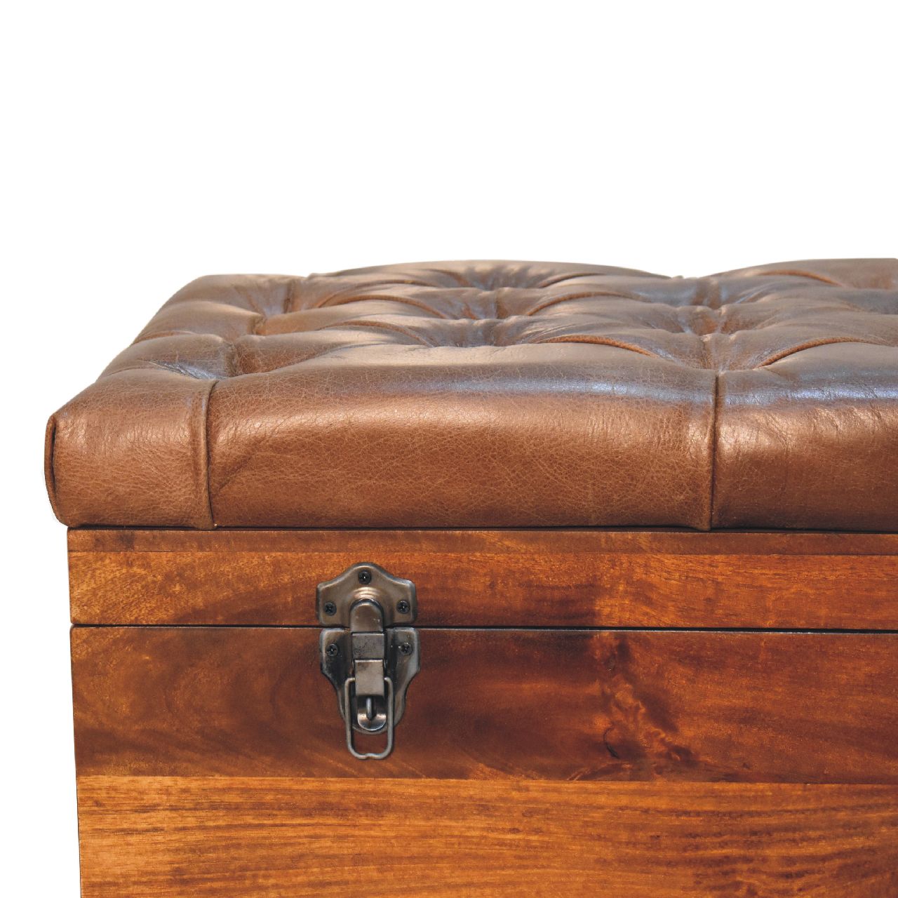 Buffalo Hide Chestnut Storage Trunk-4