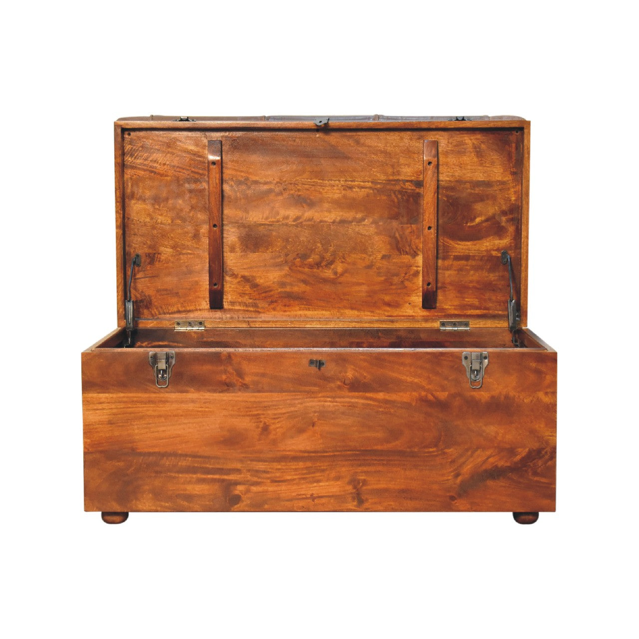 Buffalo Hide Chestnut Storage Trunk-8