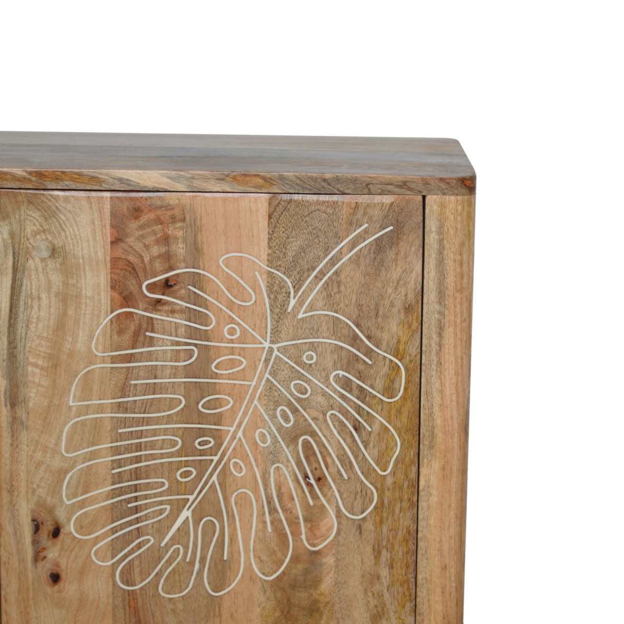 Lead Embossed Resin Cabinet-3